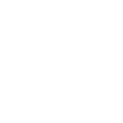 Beratung Icon